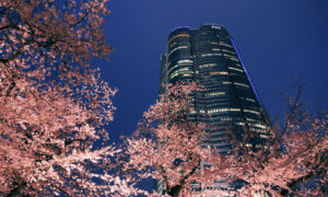 mori-960px.jpg